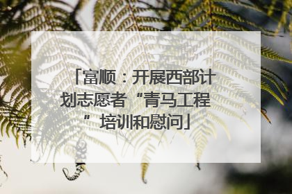 富顺：开展西部计划志愿者“青马工程”培训和慰问