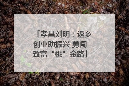 孝昌刘明：返乡创业助振兴 勇闯致富“桃”金路