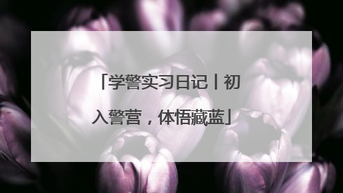 学警实习日记丨初入警营，体悟藏蓝