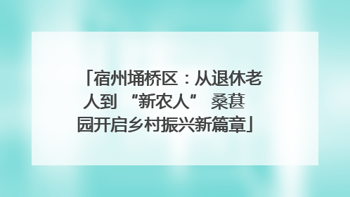 宿州埇桥区：从退休老人到 “新农人” 桑葚园开启乡村振兴新篇章