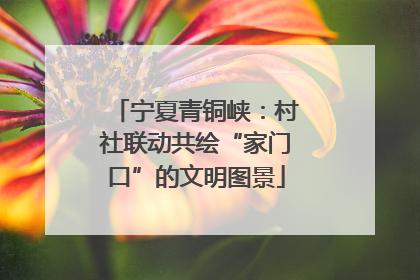 宁夏青铜峡：村社联动共绘“家门口”的文明图景