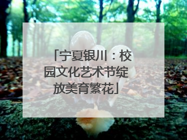 宁夏银川：校园文化艺术节绽放美育繁花