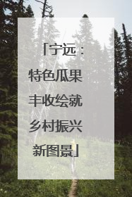 宁远：特色瓜果丰收绘就乡村振兴新图景