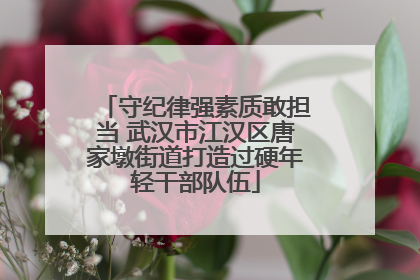 守纪律强素质敢担当 武汉市江汉区唐家墩街道打造过硬年轻干部队伍