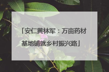安仁黄林军：万亩药材基地铺就乡村振兴路