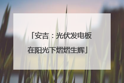 安吉：光伏发电板在阳光下熠熠生辉