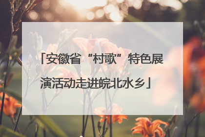 安徽省“村歌”特色展演活动走进皖北水乡