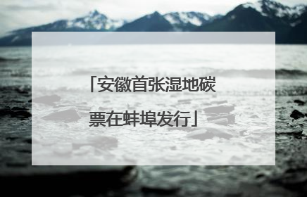 安徽首张湿地碳票在蚌埠发行