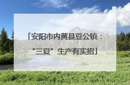 安阳市内黄县豆公镇：“三夏”生产有实招