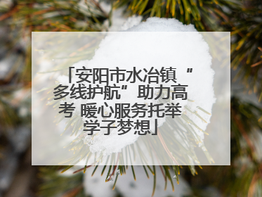 安阳市水冶镇“多线护航”助力高考 暖心服务托举学子梦想