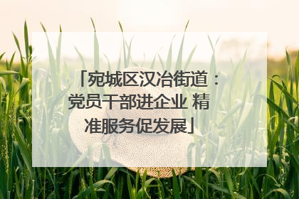 宛城区汉冶街道：党员干部进企业 精准服务促发展