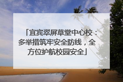 宜宾翠屏草堂中心校：多举措筑牢安全防线，全方位护航校园安全