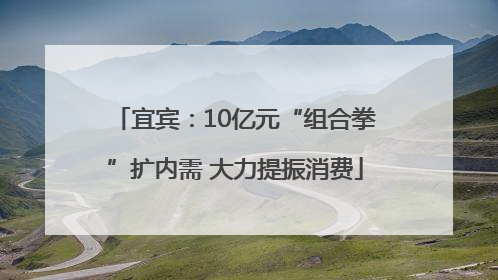 宜宾：10亿元“组合拳”扩内需 大力提振消费