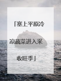 塞上平原冷凉蔬菜进入采收旺季