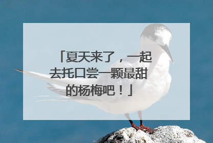 夏天来了，一起去托口尝一颗最甜的杨梅吧！
