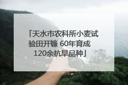 天水市农科所小麦试验田开镰 60年育成120余抗旱品种