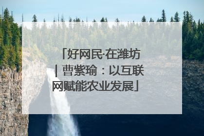 好网民·在潍坊｜曹紫瑜：以互联网赋能农业发展