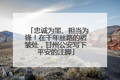 忠诚为墨、担当为锋！在千年丝路的褶皱处，甘州公安写下平安的注脚