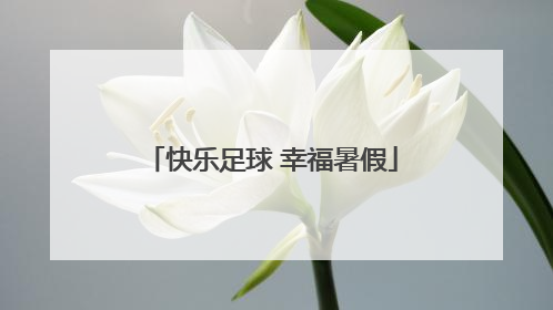 快乐足球 幸福暑假