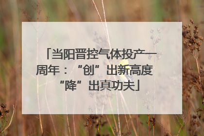 当阳晋控气体投产一周年：“创”出新高度 “降”出真功夫
