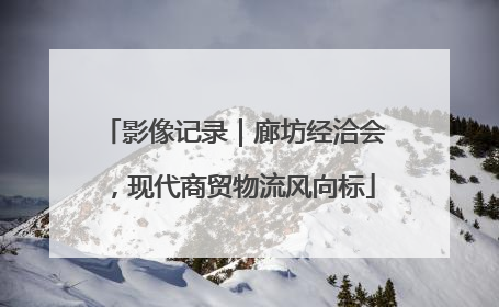 影像记录｜廊坊经洽会，现代商贸物流风向标