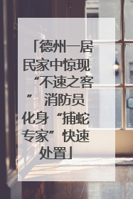德州一居民家中惊现“不速之客” 消防员化身“捕蛇专家”快速处置