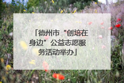 德州市“创培在身边”公益志愿服务活动举办