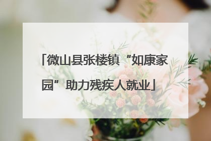 微山县张楼镇“如康家园”助力残疾人就业