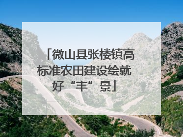 微山县张楼镇高标准农田建设绘就好“丰”景