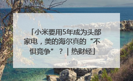 小米要用5年成为头部家电，美的海尔真的“不惧竞争”？｜热财经