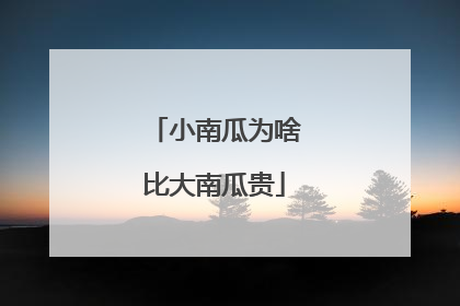 小南瓜为啥比大南瓜贵