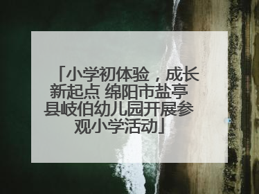 小学初体验，成长新起点 绵阳市盐亭县岐伯幼儿园开展参观小学活动