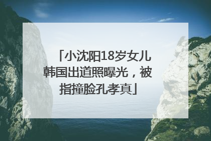 小沈阳18岁女儿韩国出道照曝光，被指撞脸孔孝真
