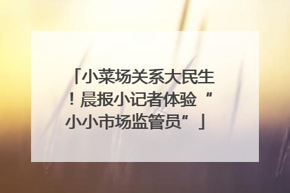 小菜场关系大民生！晨报小记者体验“小小市场监管员”