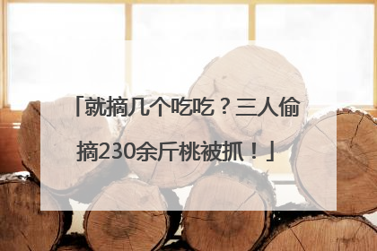 就摘几个吃吃？三人偷摘230余斤桃被抓！