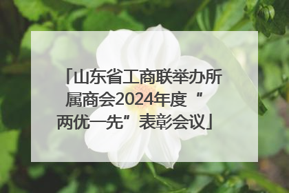 山东省工商联举办所属商会2024年度“两优一先”表彰会议