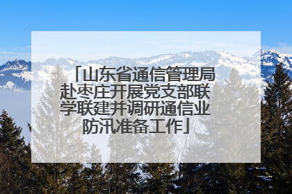 山东省通信管理局赴枣庄开展党支部联学联建并调研通信业防汛准备工作