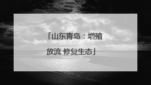 山东青岛：增殖放流 修复生态