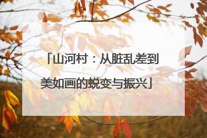 山河村：从脏乱差到美如画的蜕变与振兴