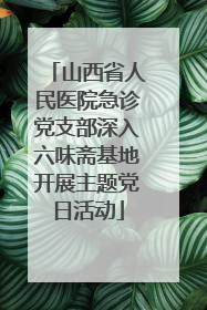 山西省人民医院急诊党支部深入六味斋基地开展主题党日活动
