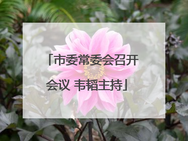 市委常委会召开会议 韦韬主持