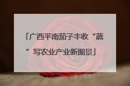 广西平南茄子丰收“蔬”写农业产业新图景