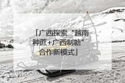 广西探索“越南种蔗+广西制糖”合作新模式
