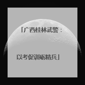 广西桂林武警：以考促训砺精兵