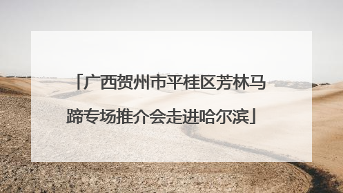 广西贺州市平桂区芳林马蹄专场推介会走进哈尔滨