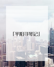 平阳寻琴记