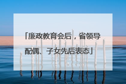 廉政教育会后，省领导配偶、子女先后表态