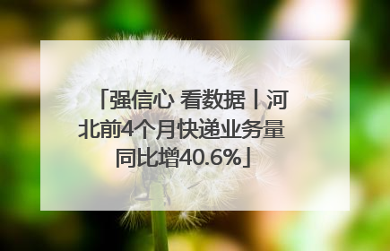 强信心 看数据丨河北前4个月快递业务量同比增40.6%