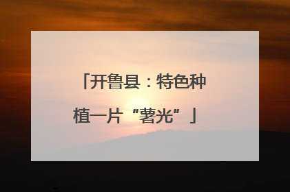 开鲁县：特色种植一片“薯光”