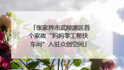 张家界市武陵源区首个家政“妈妈零工帮扶车间”入驻众创空间